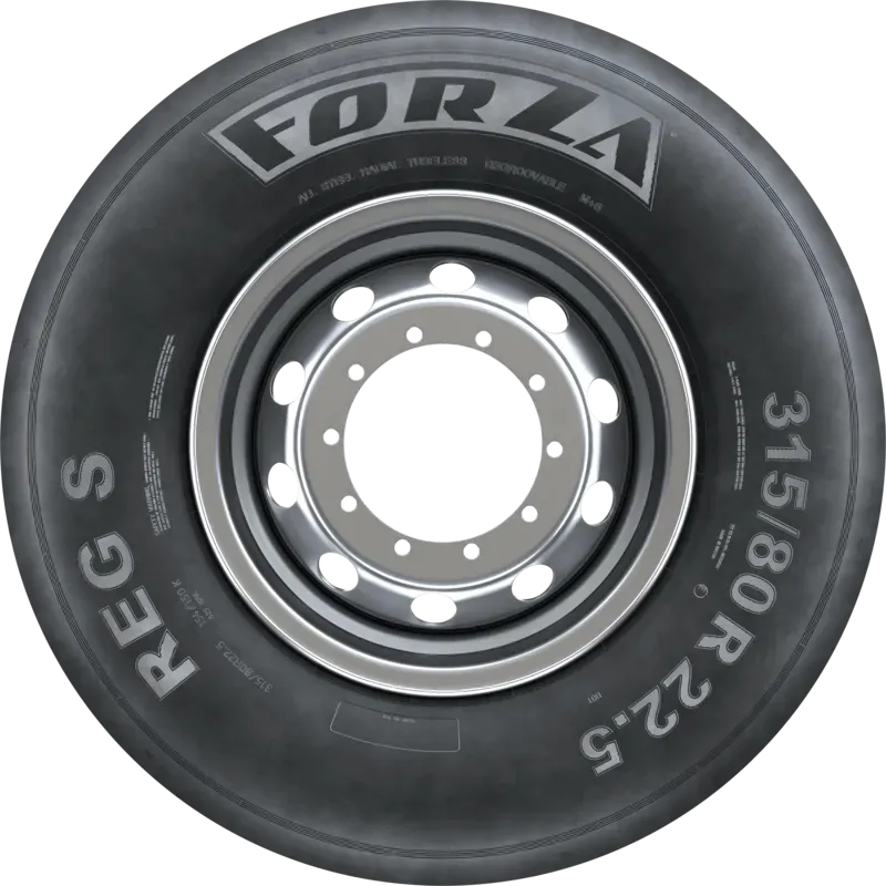 FORZA REG S FORZA REG S